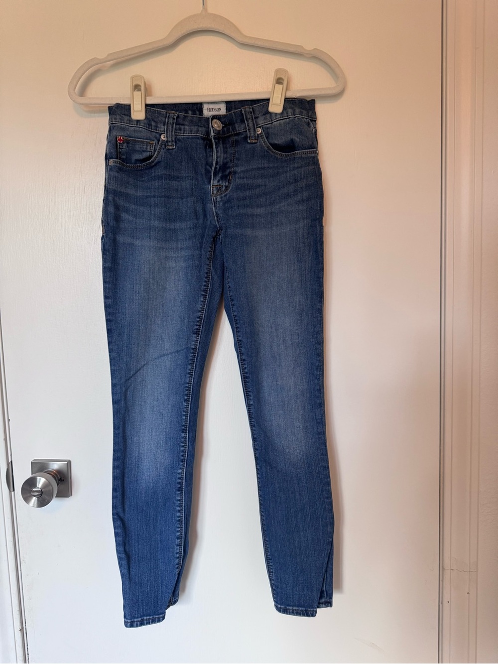 Hudson Jeans Skinny Jeans in Blue Wash